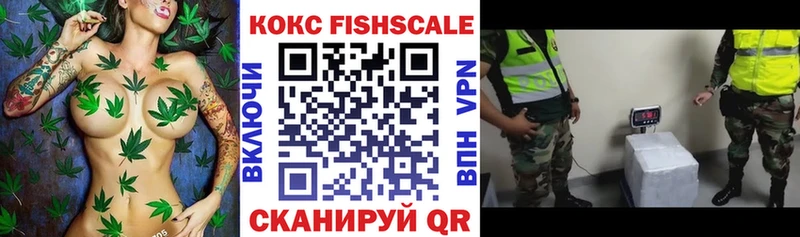 ссылка на мегу сайт  цена наркотик  Новошахтинск  Кокаин Эквадор 
