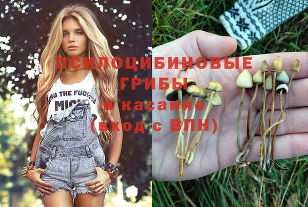 твердый Баксан