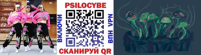 Галлюциногенные грибы Magic Shrooms  блэк спрут как войти  Новошахтинск 